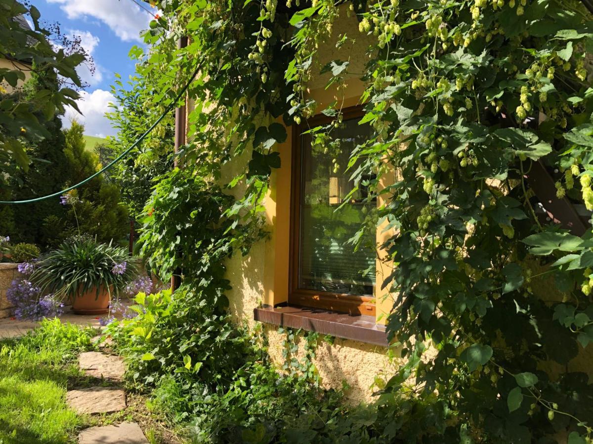Ferienhaus Erzgebirge "An Der Trebe" Mit Kamin Und Sauna Neuhausen  Exterior photo